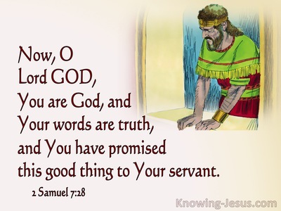 2 Samuel 7:28 You Are God Your Words Are Truth (pink)